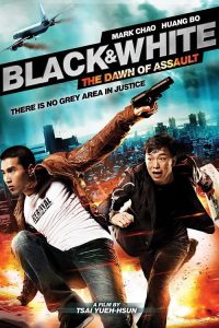 Black and White The Dawn of Assault (2012) คู่มหาประลัย อุบัติการณ์ถล่มเมือง