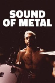 Sound of Metal (2019) เสียงที่หายไป