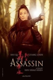 The Assassin (2015) ประกาศิต หงษ์สังหาร